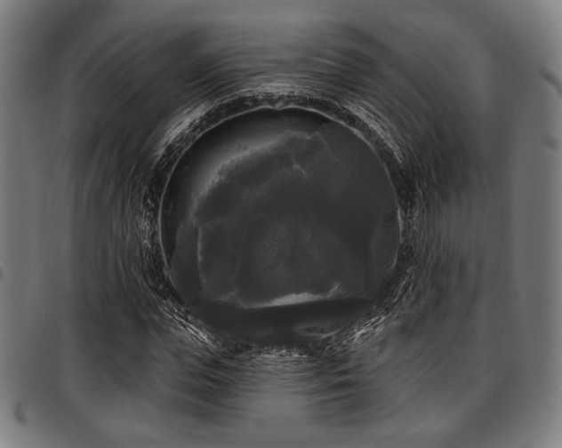 X0000097590823200802291217
