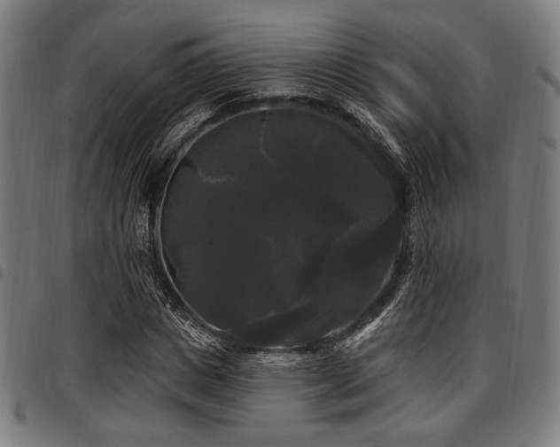 X0000097590825200802291217