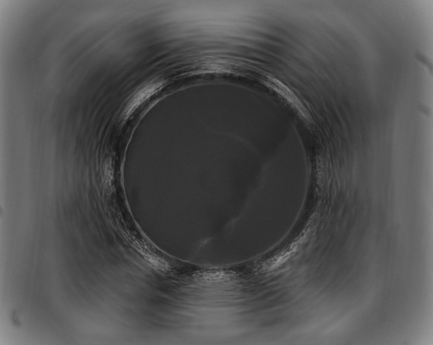 X0000097590826200802291217