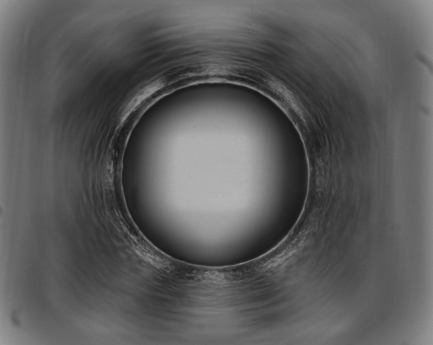 X0000097590827200802291217