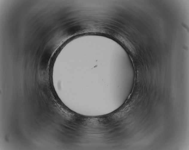 X0000097590828200802291217
