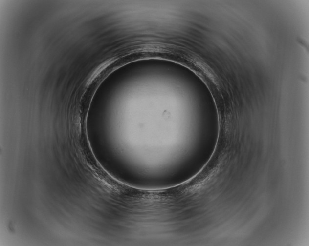 X0000097590829200802291217