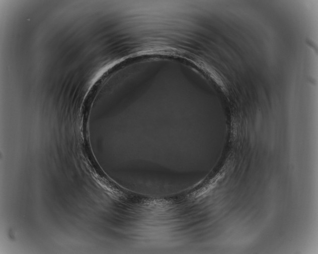 X0000097590830200802291217