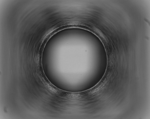 X0000097590831200802291217