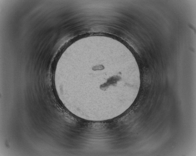 X0000097590832200802291217