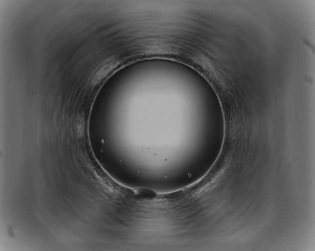 X0000097590833200802291217