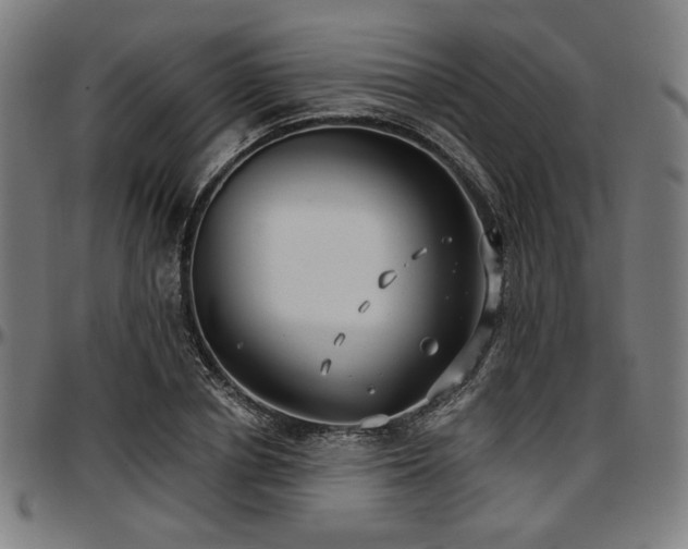 X0000097590834200802291217