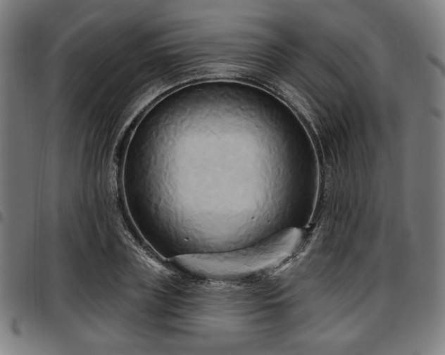 X0000097590835200802291217
