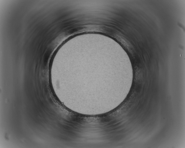 X0000097590836200802291217