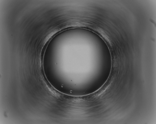 X0000097590837200802291217