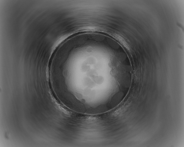 X0000097590839200802291217