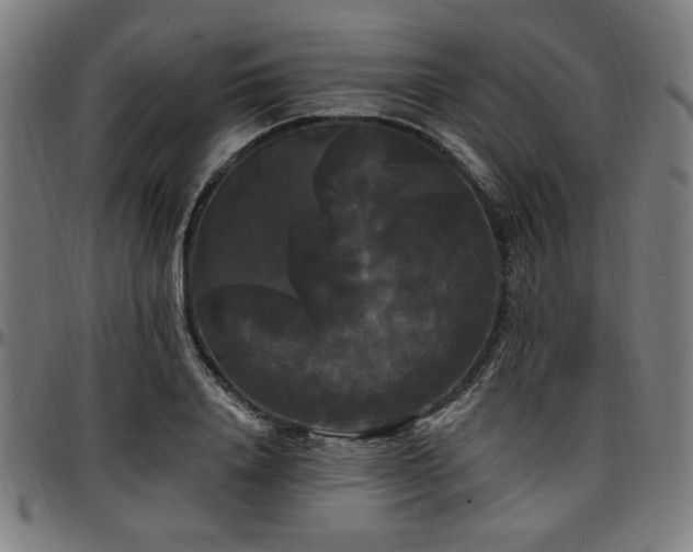 X0000097590840200802291217