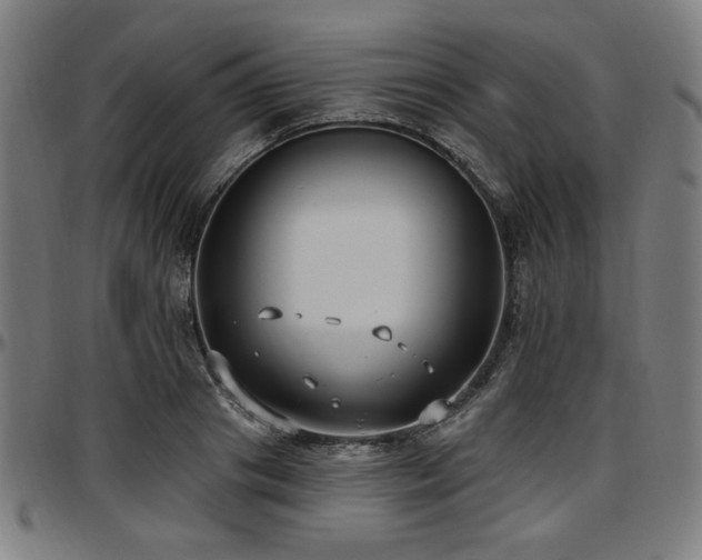 X0000097590841200802291217