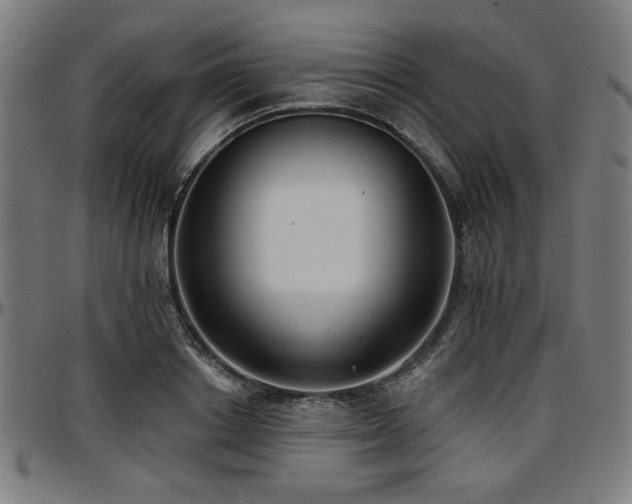 X0000097590842200802291217