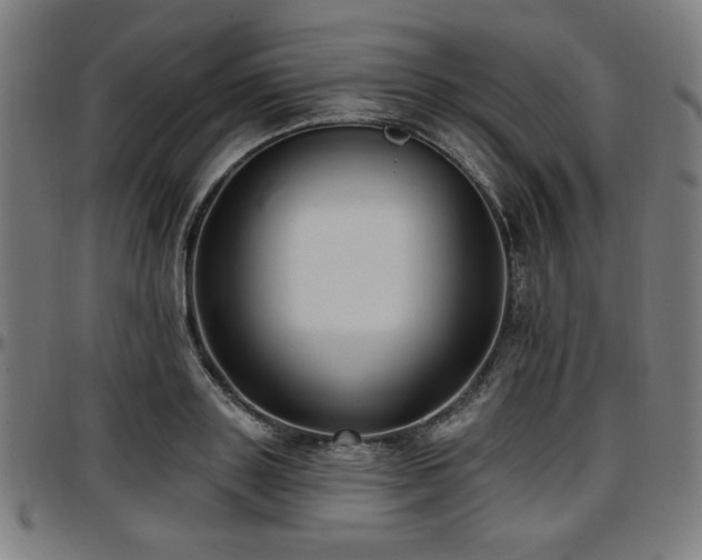 X0000097590843200802291217