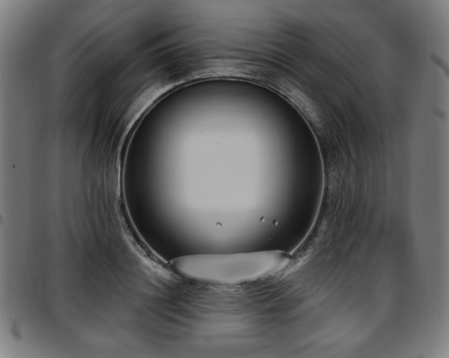 X0000097590844200802291217
