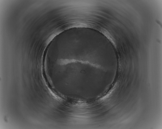 X0000097590845200802291217