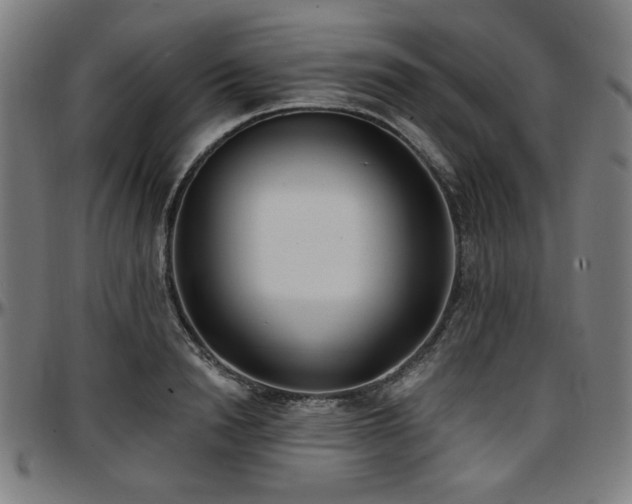 X0000097590846200802291217