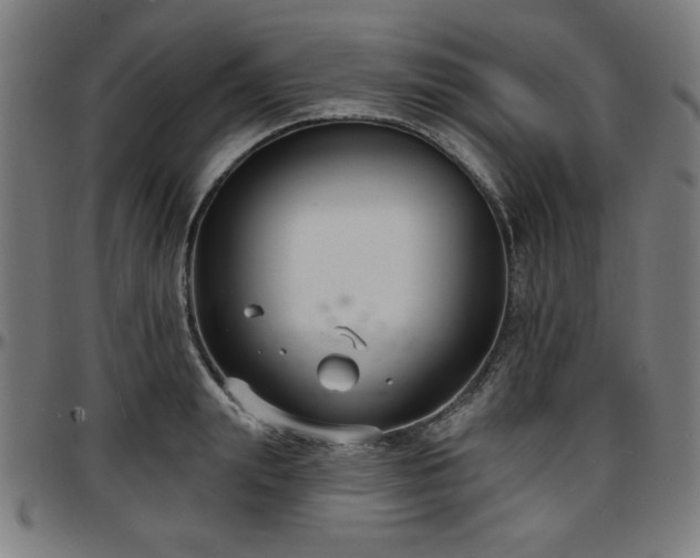 X0000097590847200802291217