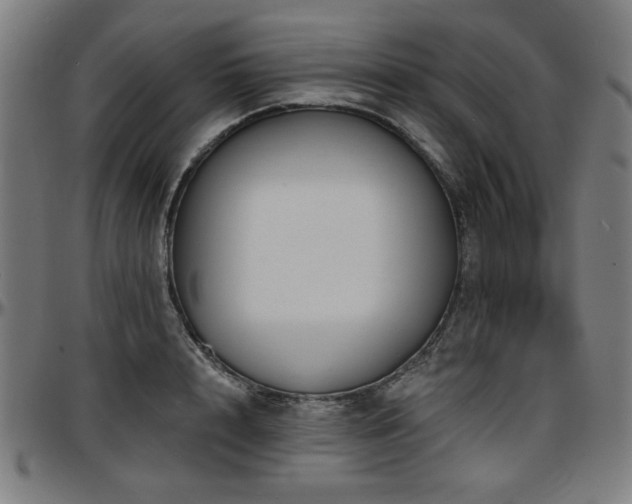 X0000097590848200802291217