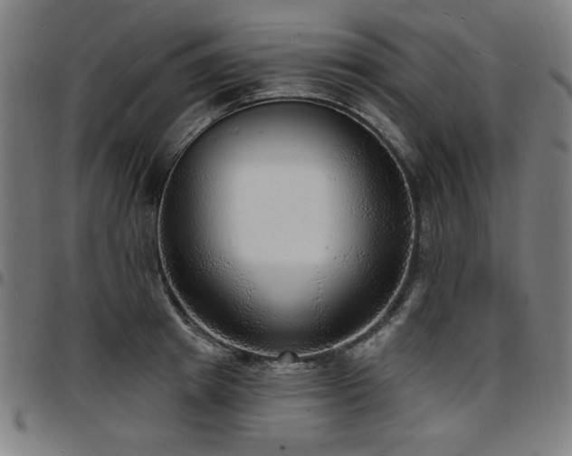 X0000097590849200802291217