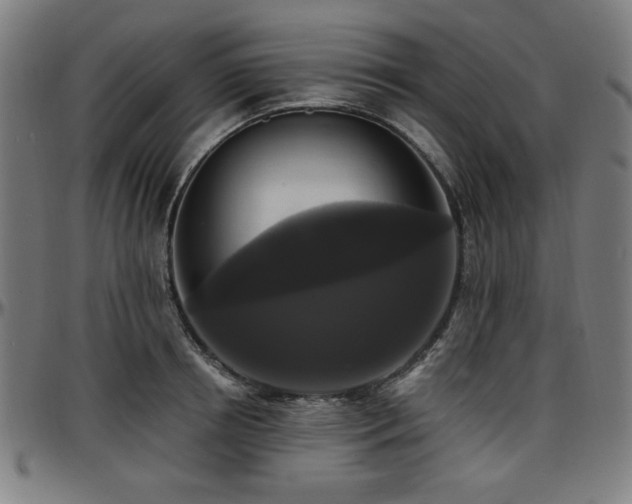 X0000097590850200802291217