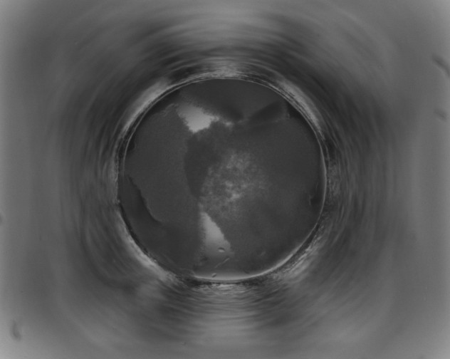 X0000097590851200802291217