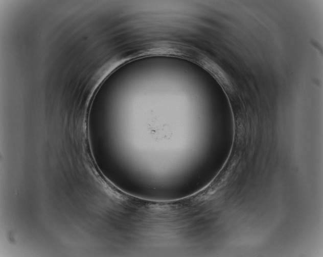 X0000097590852200802291217