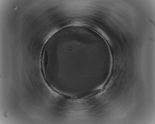 X0000097590853200802291217