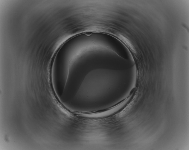 X0000097590854200802291217