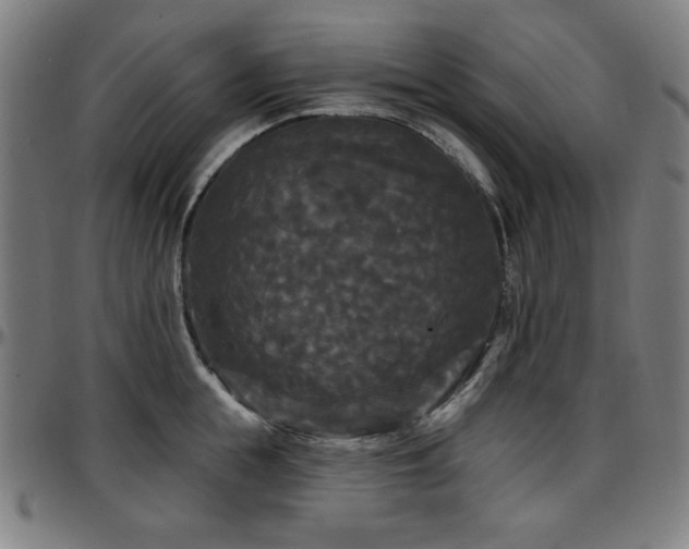 X0000097590855200802291217