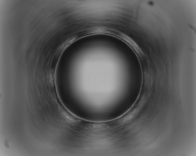 X0000097590857200802291217