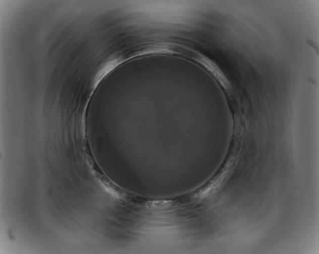 X0000097590858200802291217