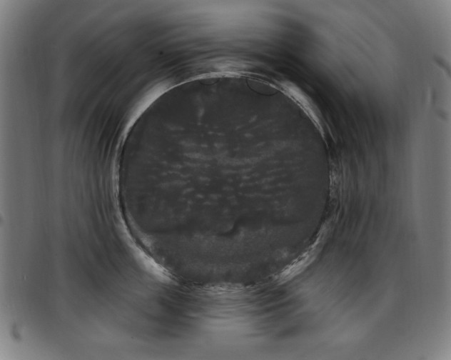 X0000097590859200802291217