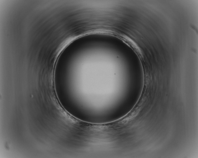 X0000097590860200802291217