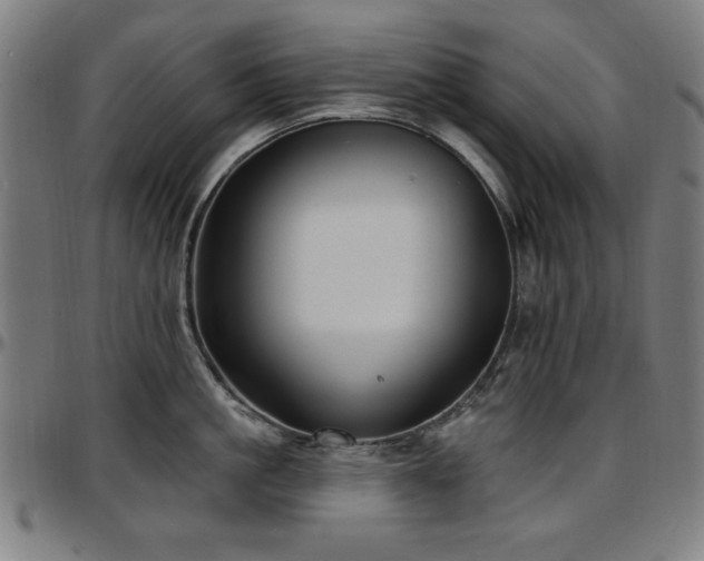 X0000097590861200802291217