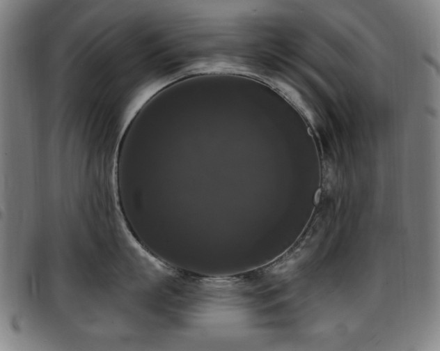 X0000097590863200802291217