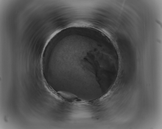 X0000097590864200802291217