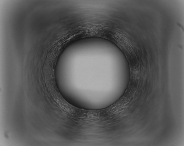 X0000097590865200802291217