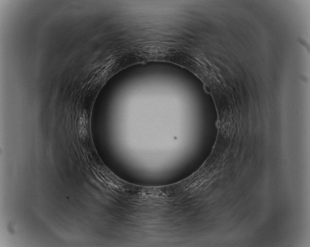 X0000097590866200802291217