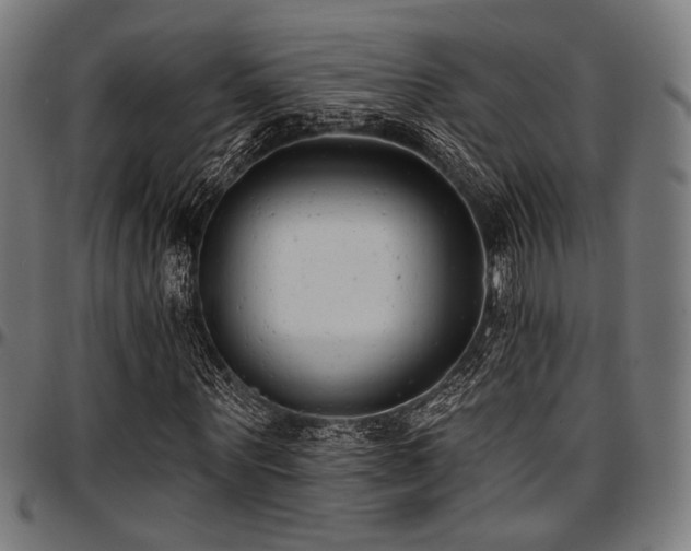 X0000097590867200802291217