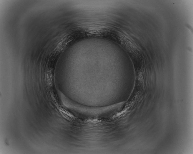 X0000097590868200802291217