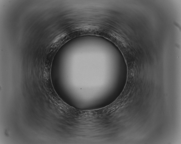X0000097590869200802291217