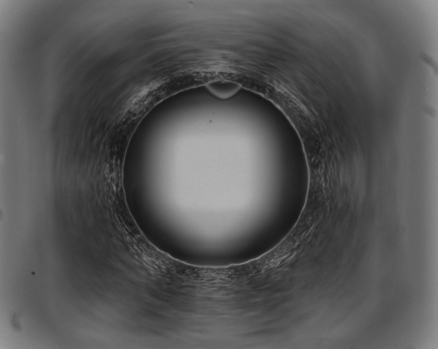 X0000097590870200802291217