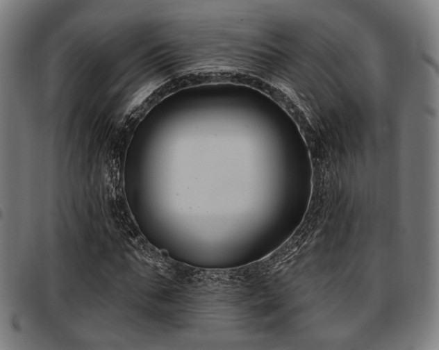 X0000097590871200802291217