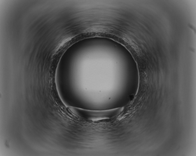 X0000097590872200802291217