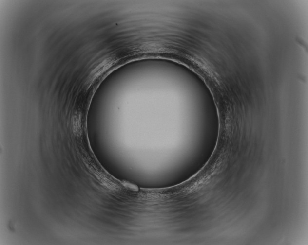 X0000097590873200802291217