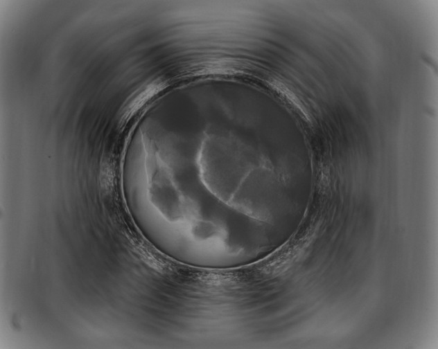 X0000097590874200802291217