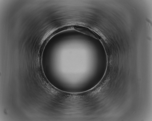 X0000097590877200802291217