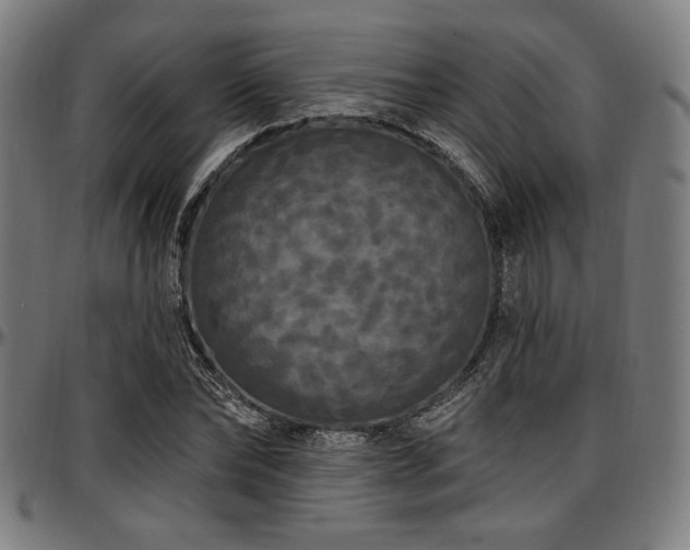 X0000097590878200802291216